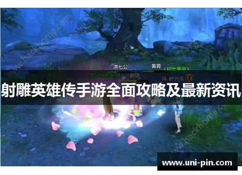 射雕英雄传手游全面攻略及最新资讯