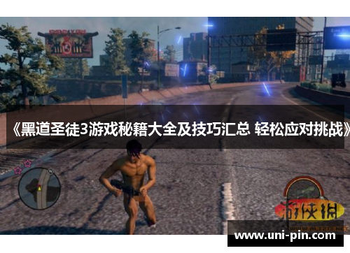《黑道圣徒3游戏秘籍大全及技巧汇总 轻松应对挑战》